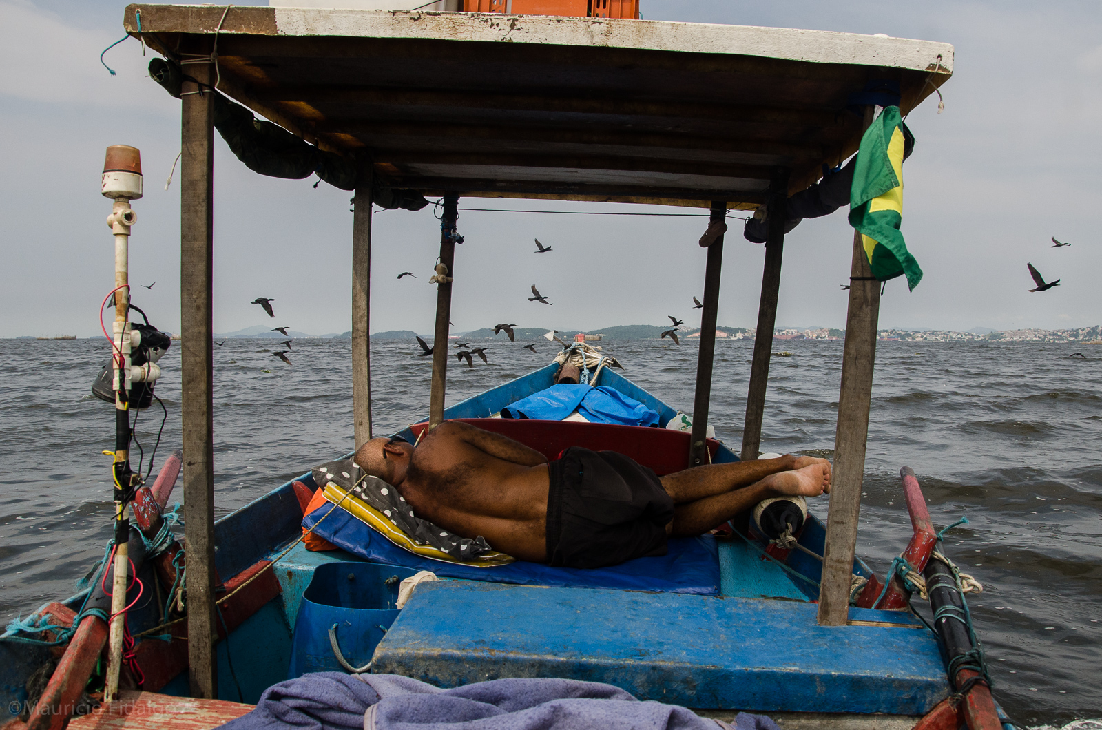 Pesca artesanal na Baía de Guanabara